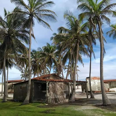 Arri&eacute;gua Adventure - Passeios em Canoa Quebrada