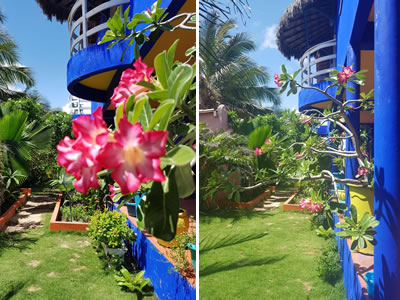 Aluguel por temporada casa helen canoa quebrada - Villa Desert Rose