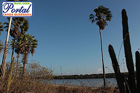 mata atlantica - Canoa Quebrada