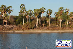 Carnaubeiras Canoa Quebrada