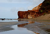 Peroba - Redonda