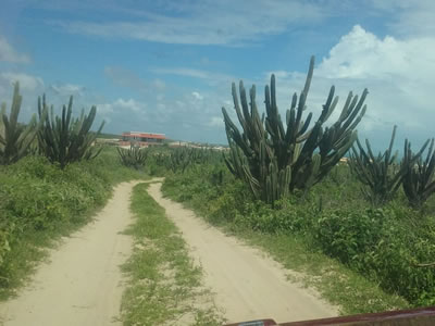 Bugueiro das estrelas