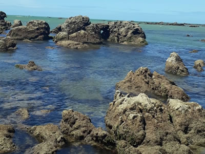 Passeios de Buggy - Canoa Quebrada