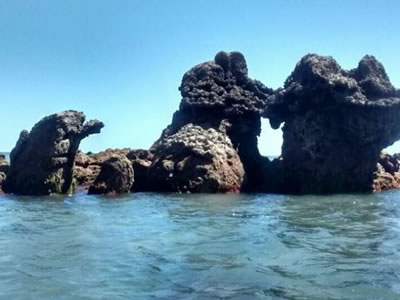 Passeios de Buggy - Canoa Quebrada