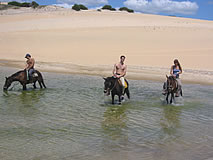 Passeio de Cavalo em Canoa Quebrada