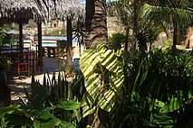 Pousada Cavalo Marinho - Canoa Quebrada