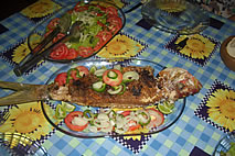 Pousada Cavalo Marinho - Canoa Quebrada