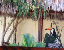 Pousada Jardim da Lu - Canoa Quebrada