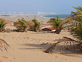 lotes a venda em Canoa Quebrada
